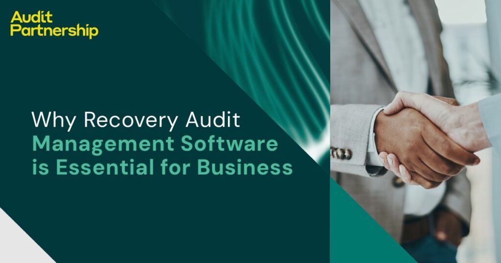 accounts payable recovery audit software